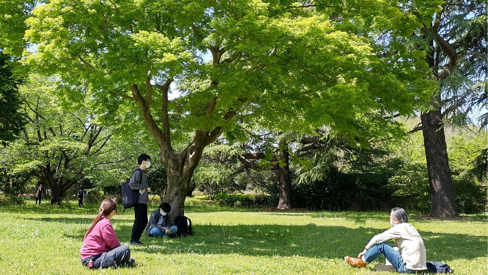 NPO法人育て上げネット